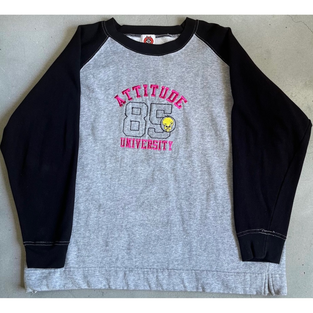Vtg Looney Tunes Tweety Bird Attitude 85 University Raglan Sweatshirt XL Freeze